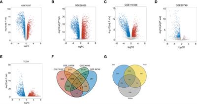 An Immunity-Related Gene Model Predicts Prognosis in Cholangiocarcinoma